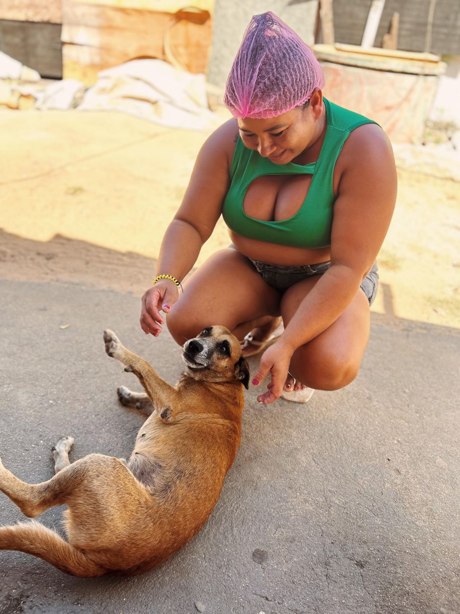 Vacinação pet gratuita